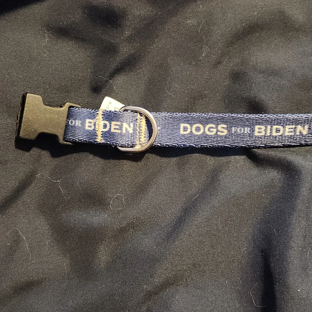 Dogs for Biden dog collar size medium